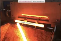 Differences between Induction Heating of Austenite and Martensite Materials